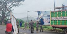 Dipimpin Iqbal Halwi, Satpol PP Luwu Tertibkan Alat Peraga Sosialisasi dan Kampanye