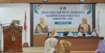 Sosialisasi Pokja Bunda PAUD, Pemkab Luwu Fokus Tingkatkan Mutu Pendidikan Anak